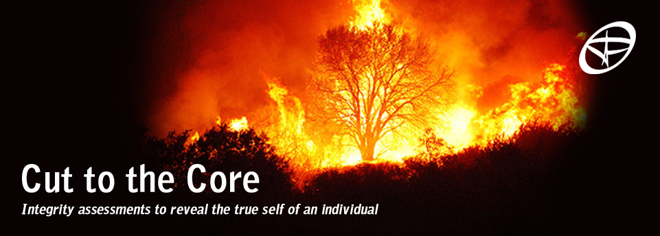 Integrity Assessments